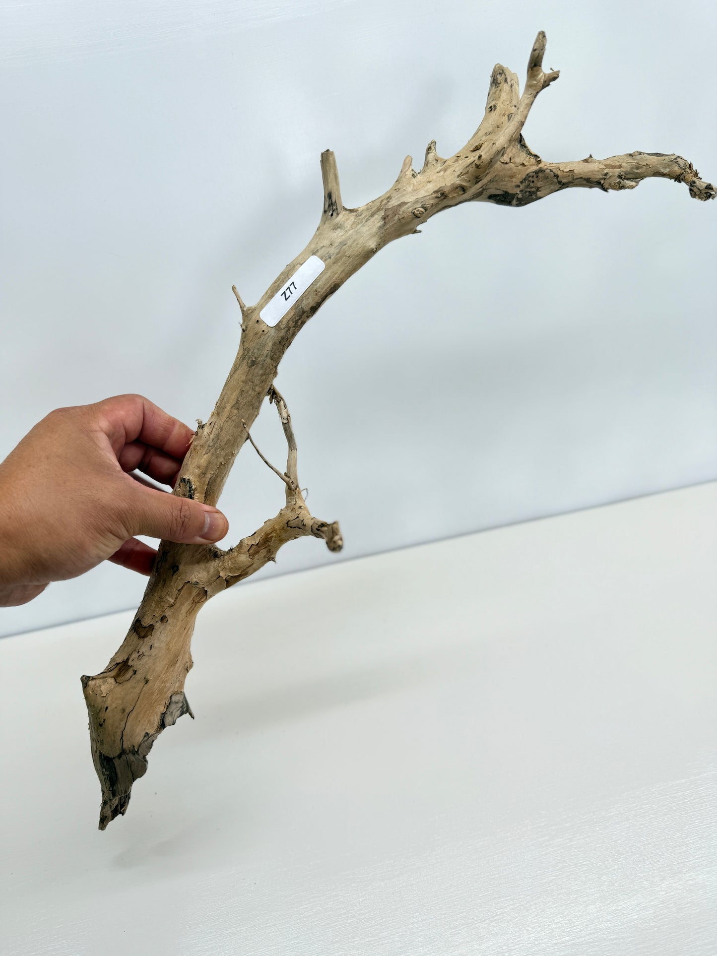Terrarium Driftwood Accessory Z77