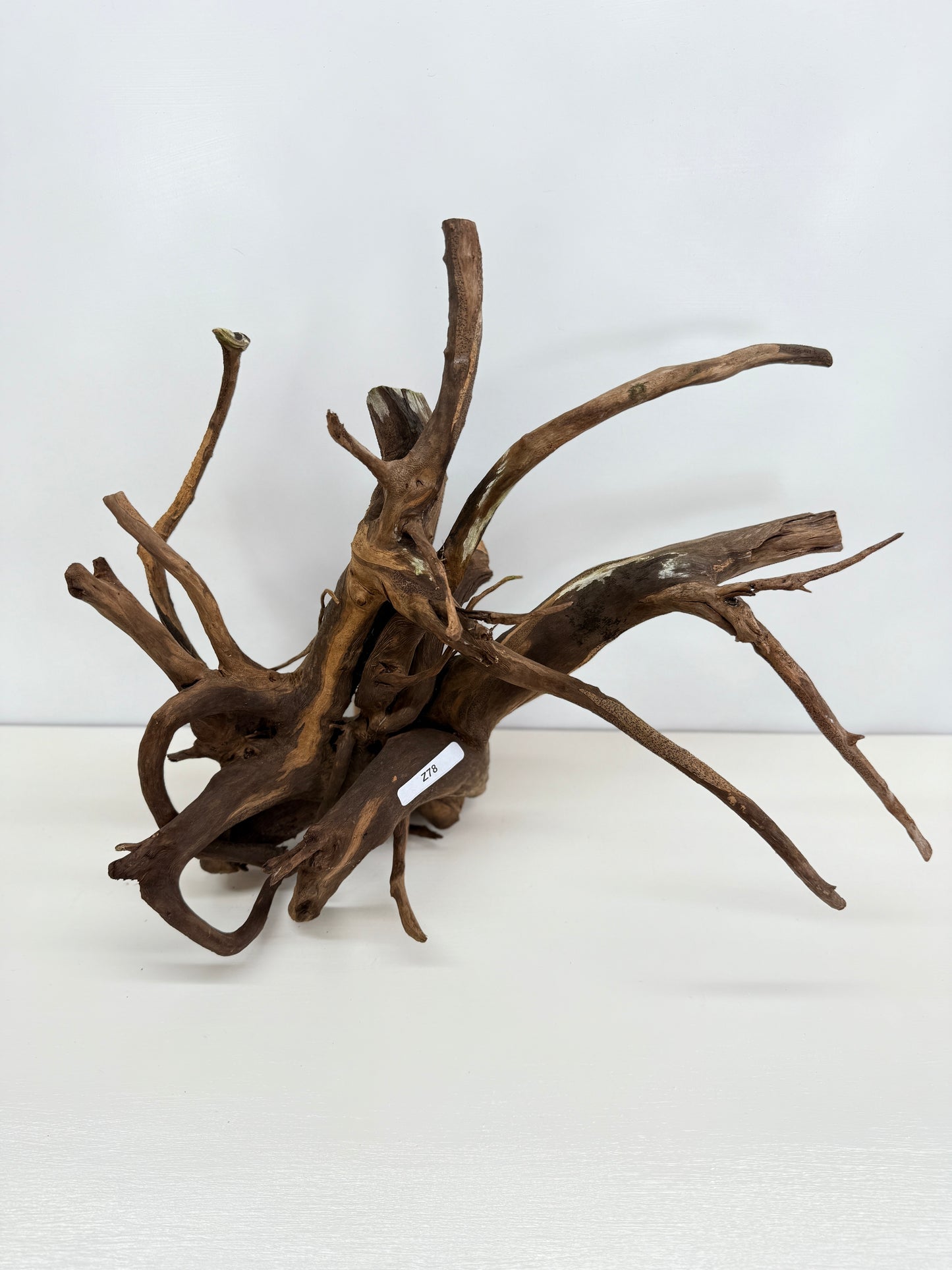 Terrarium Driftwood Accessory Z78