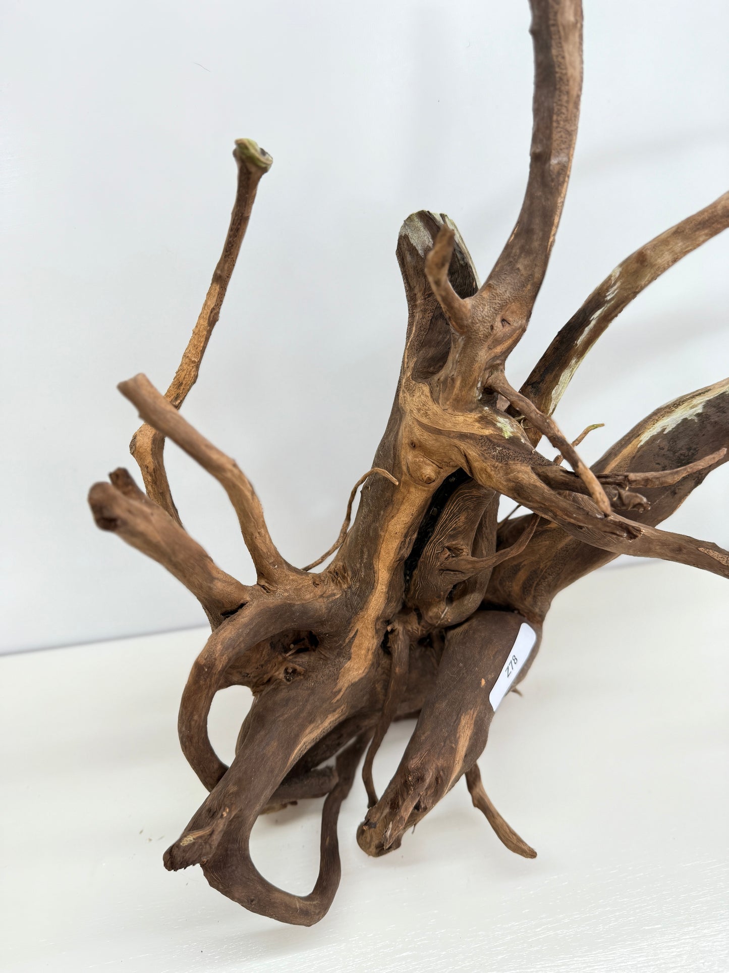 Terrarium Driftwood Accessory Z78