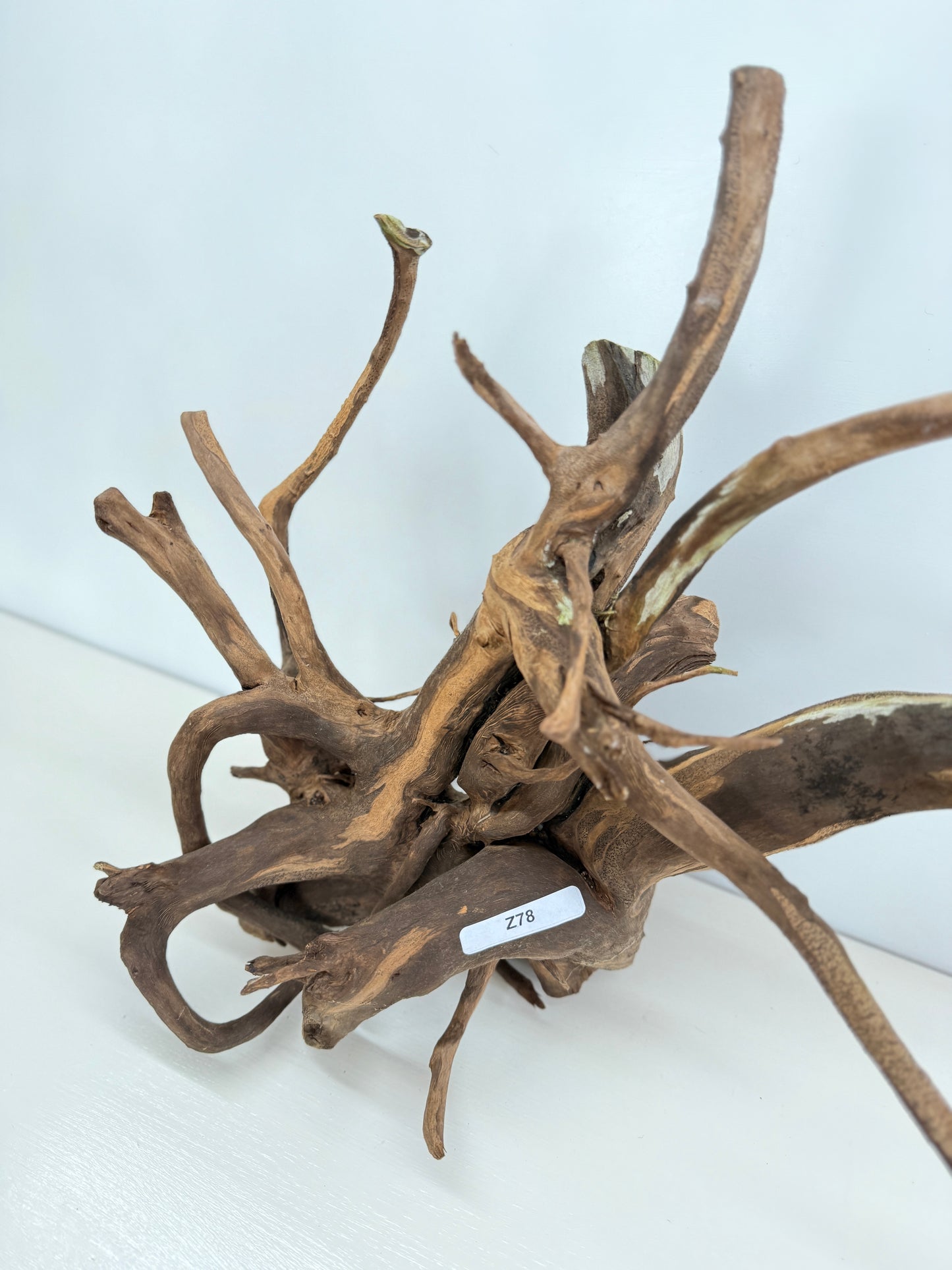 Terrarium Driftwood Accessory Z78