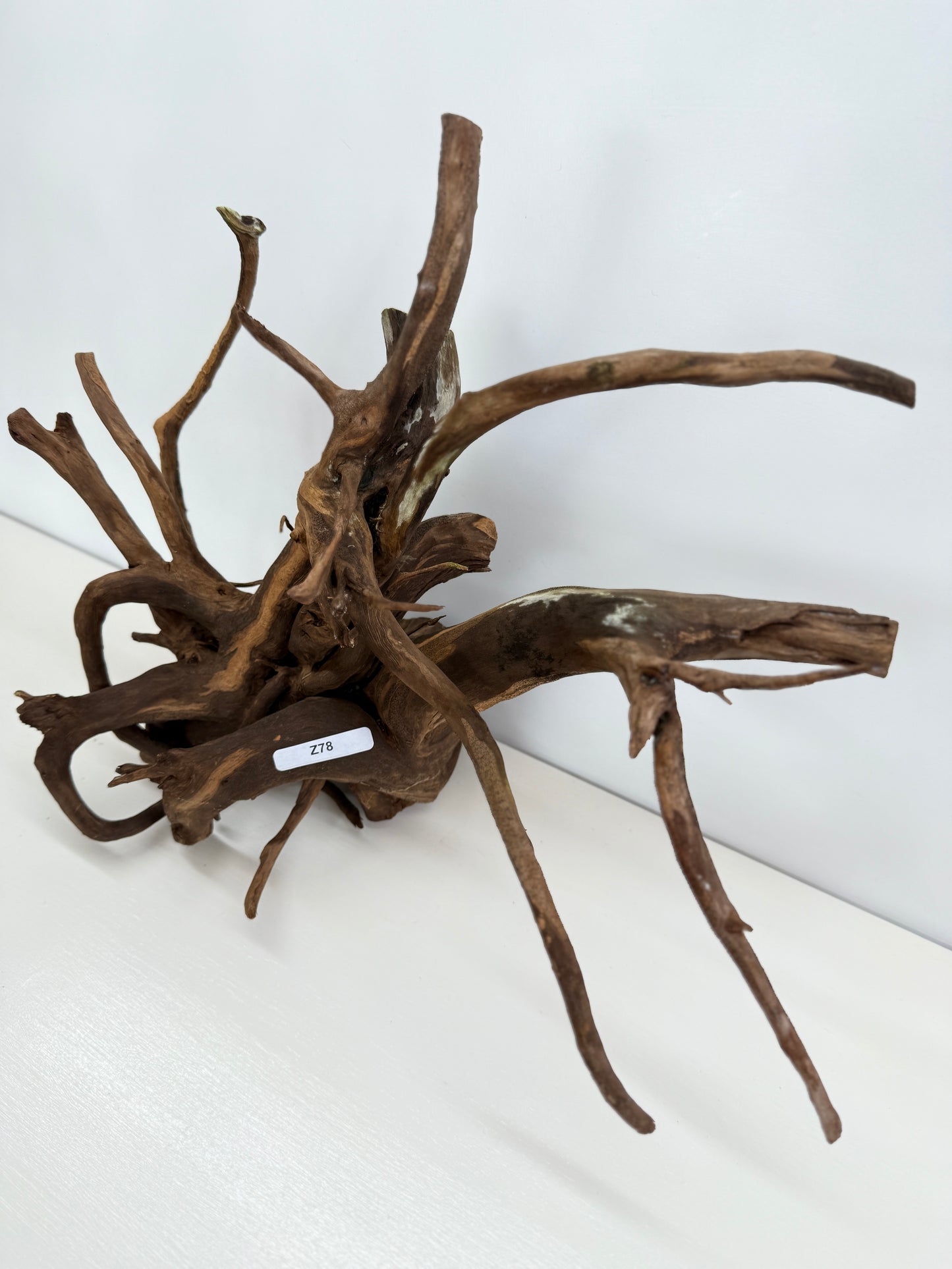 Terrarium Driftwood Accessory Z78