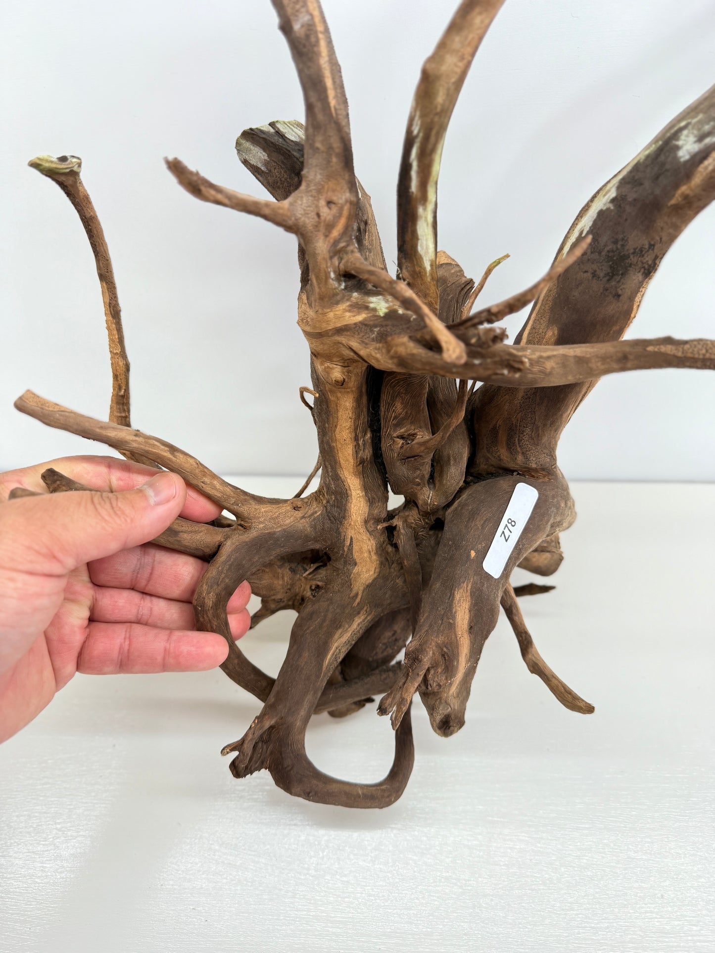 Terrarium Driftwood Accessory Z78