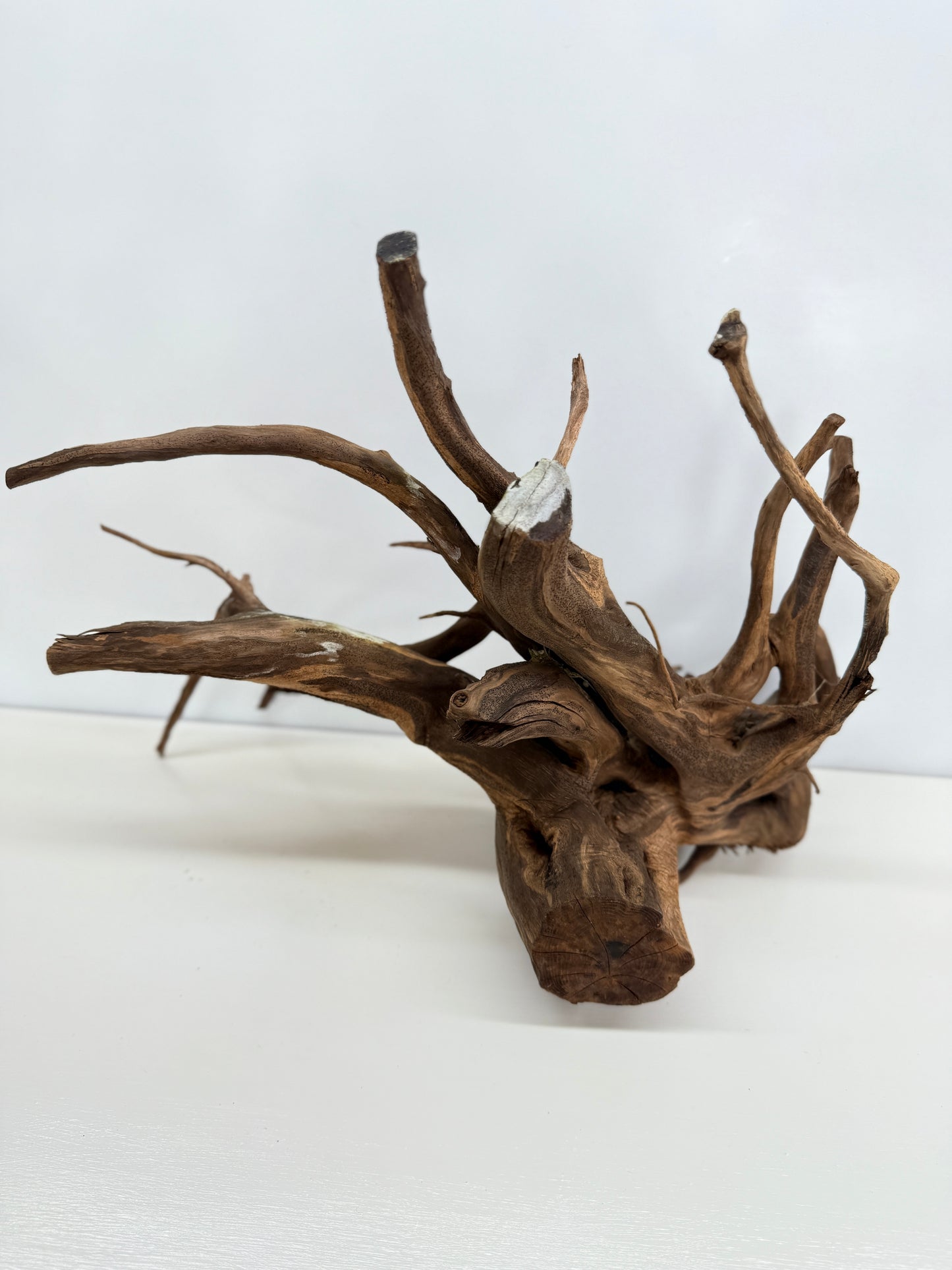 Terrarium Driftwood Accessory Z78