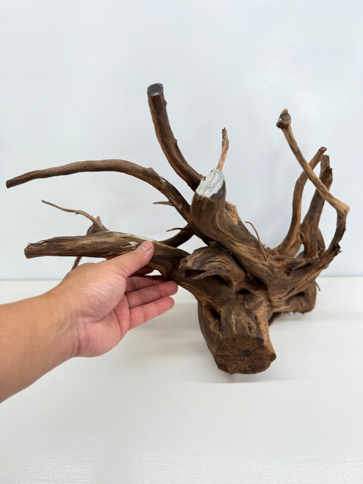 Terrarium Driftwood Accessory Z78