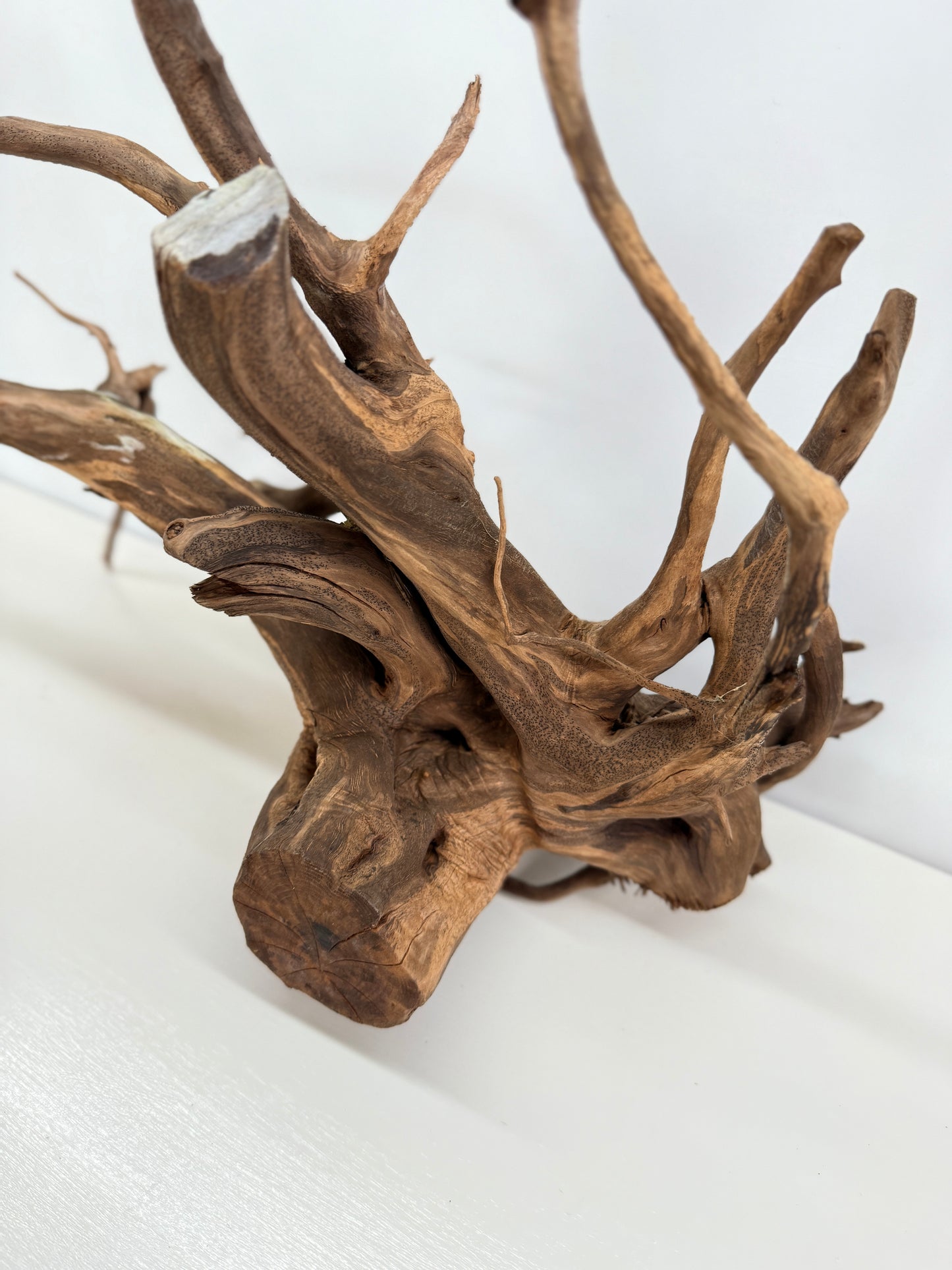 Terrarium Driftwood Accessory Z78