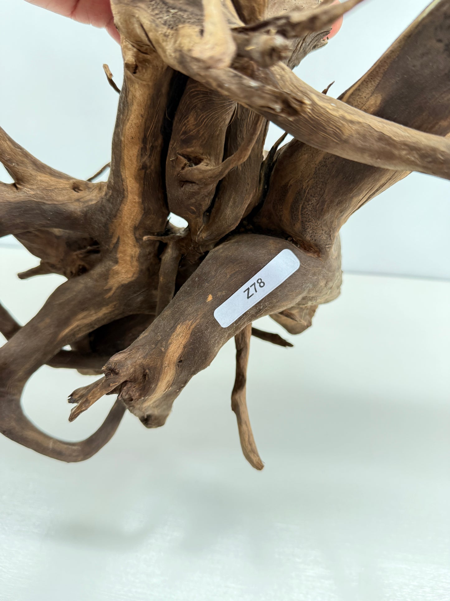 Terrarium Driftwood Accessory Z78