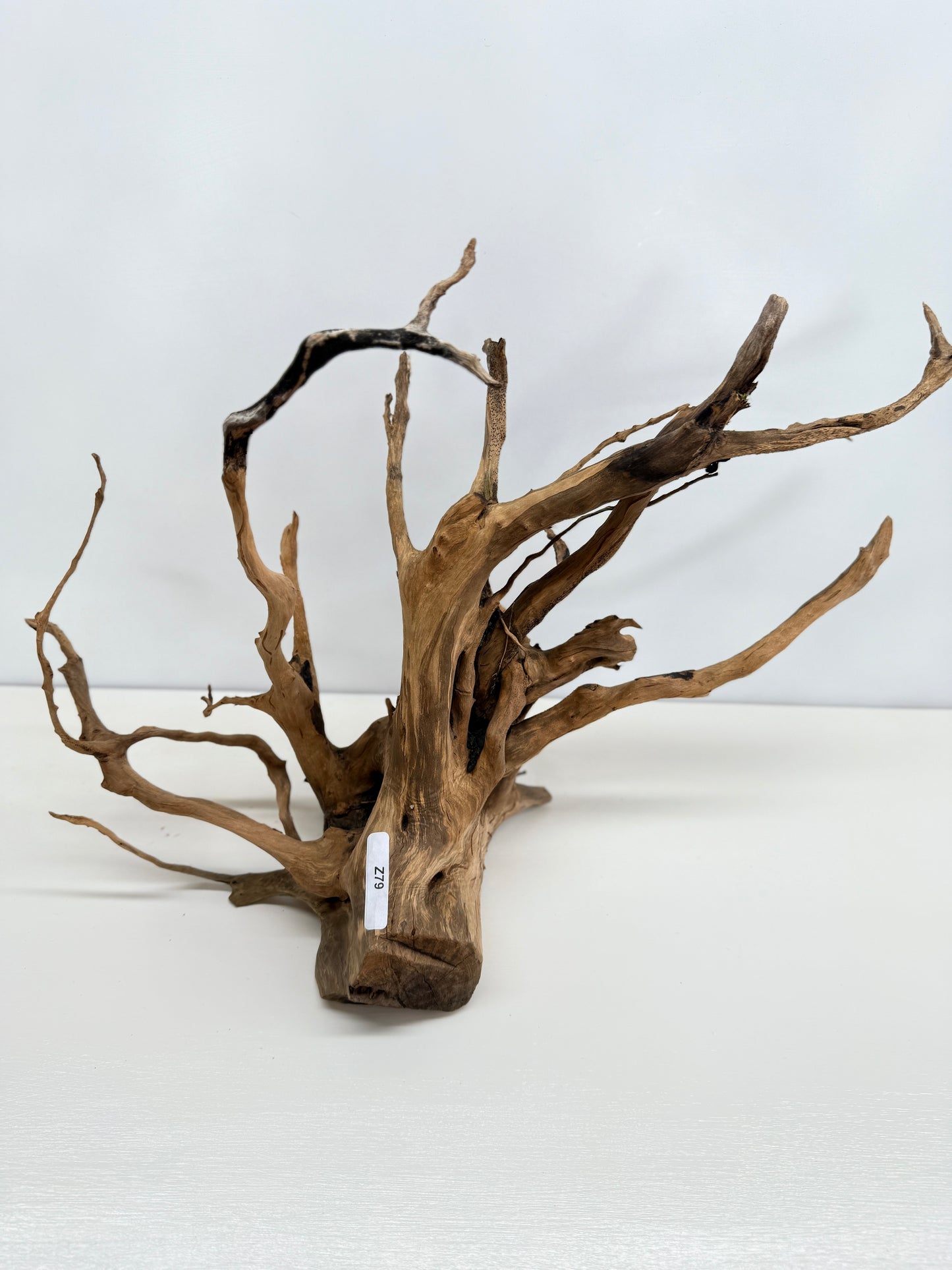 Terrarium Driftwood Accessory Z79