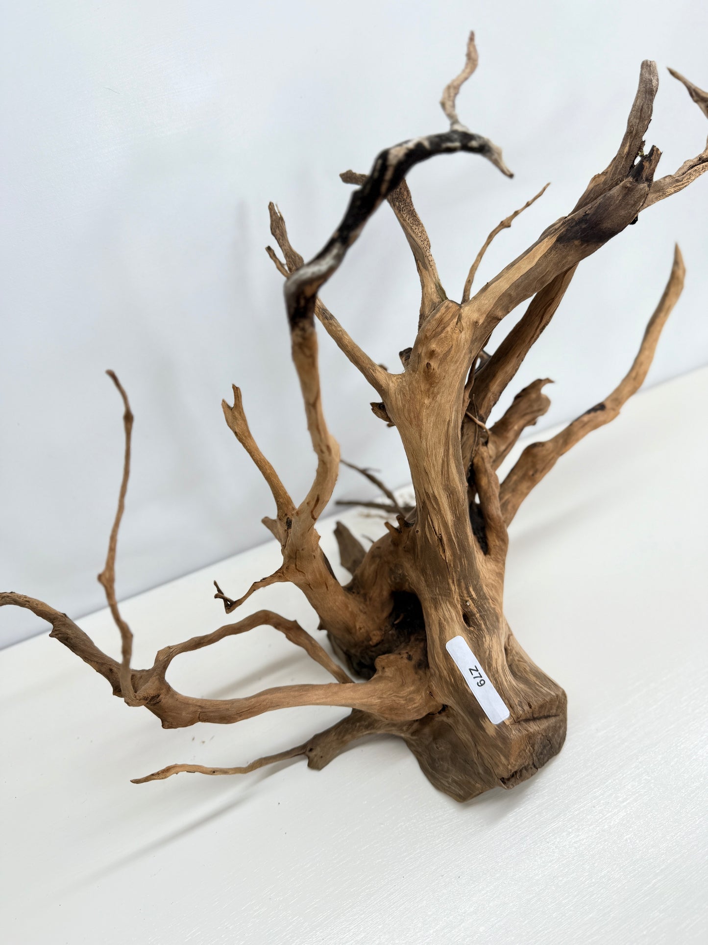Terrarium Driftwood Accessory Z79
