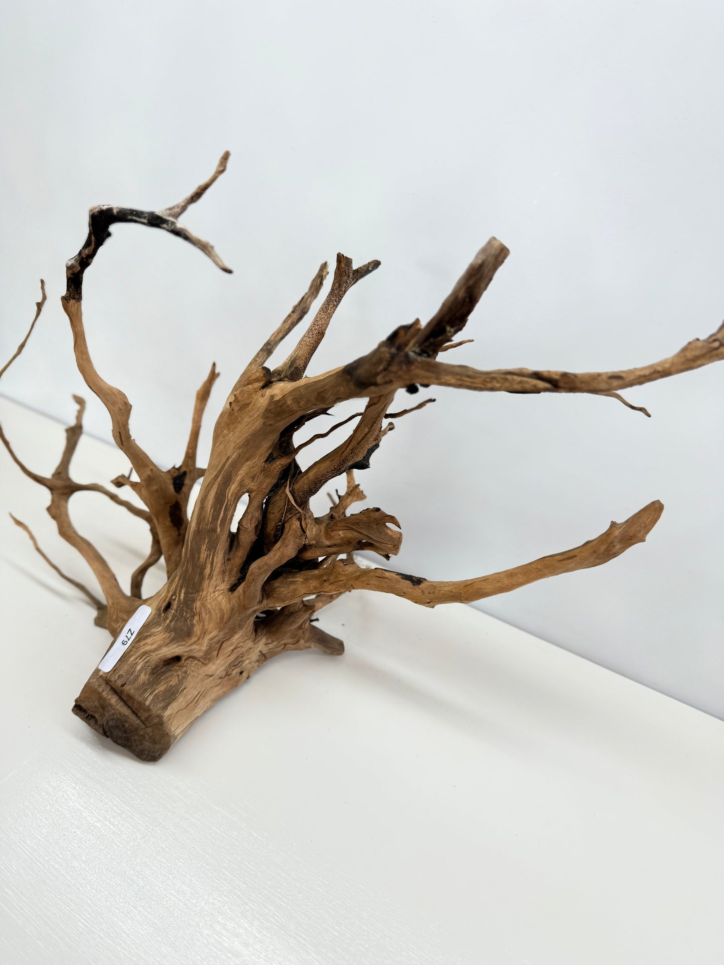 Terrarium Driftwood Accessory Z79