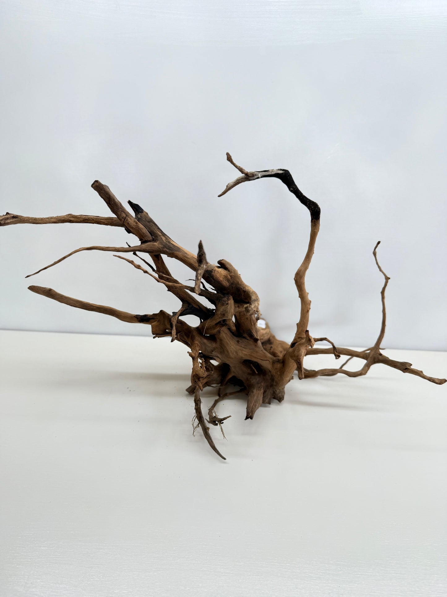 Terrarium Driftwood Accessory Z79
