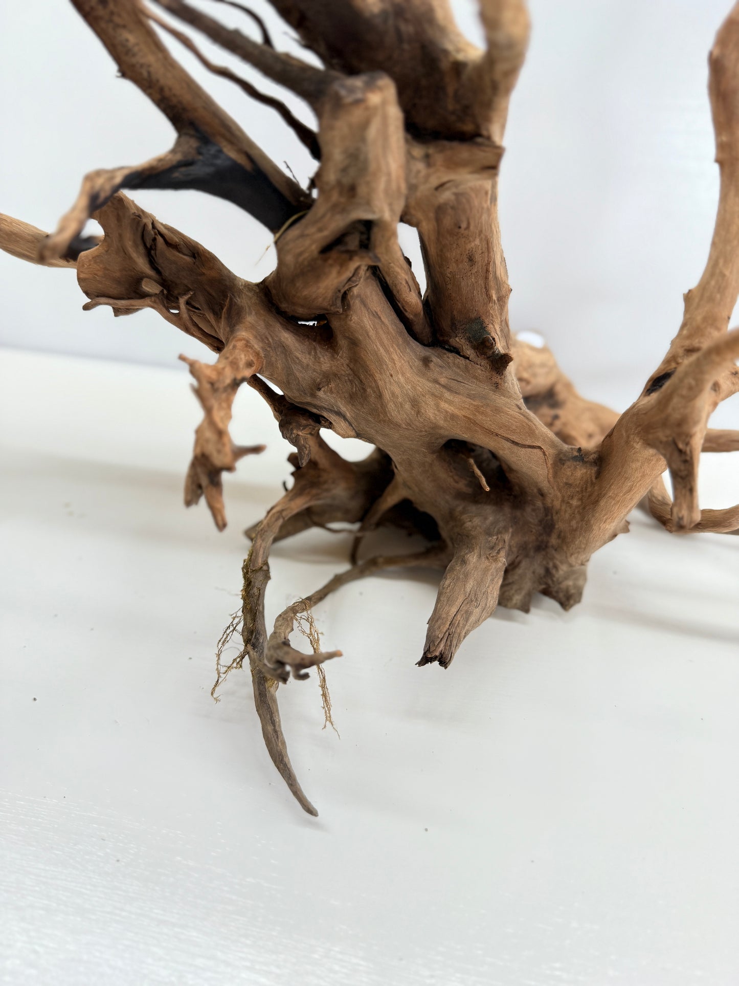 Terrarium Driftwood Accessory Z79