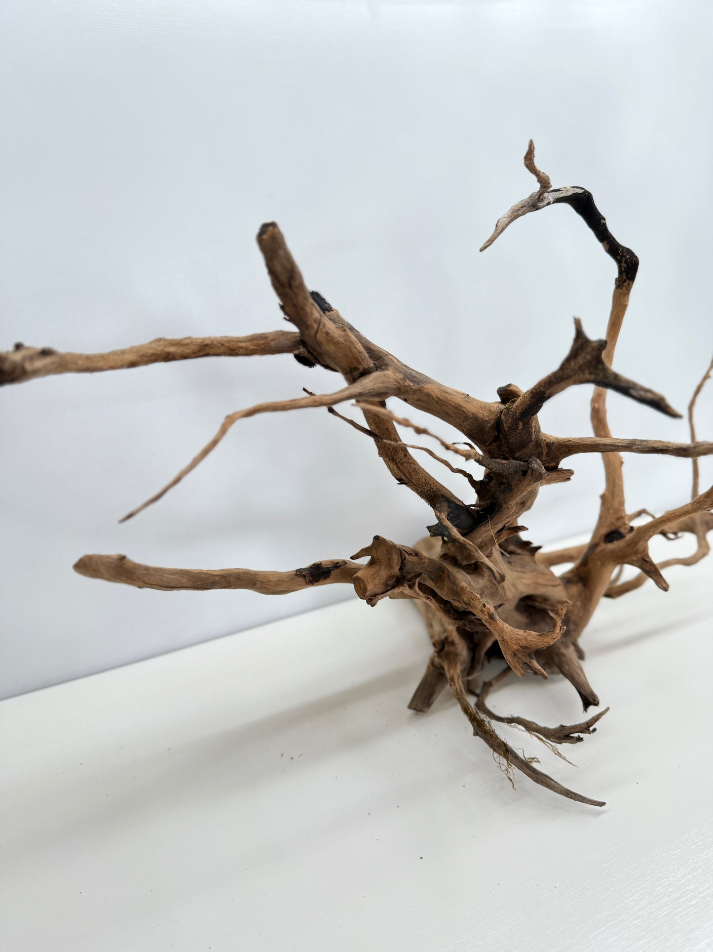 Terrarium Driftwood Accessory Z79