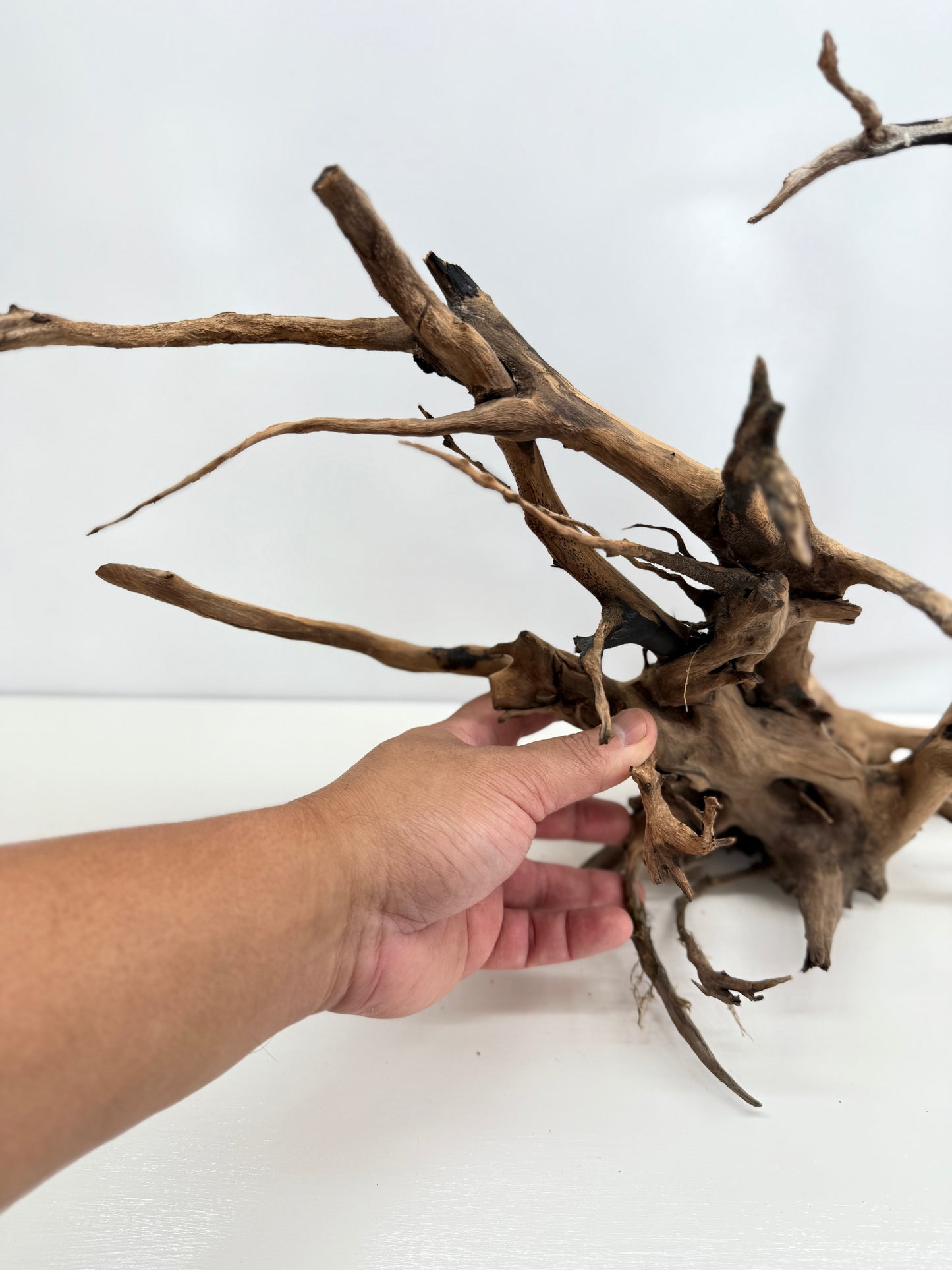 Terrarium Driftwood Accessory Z79