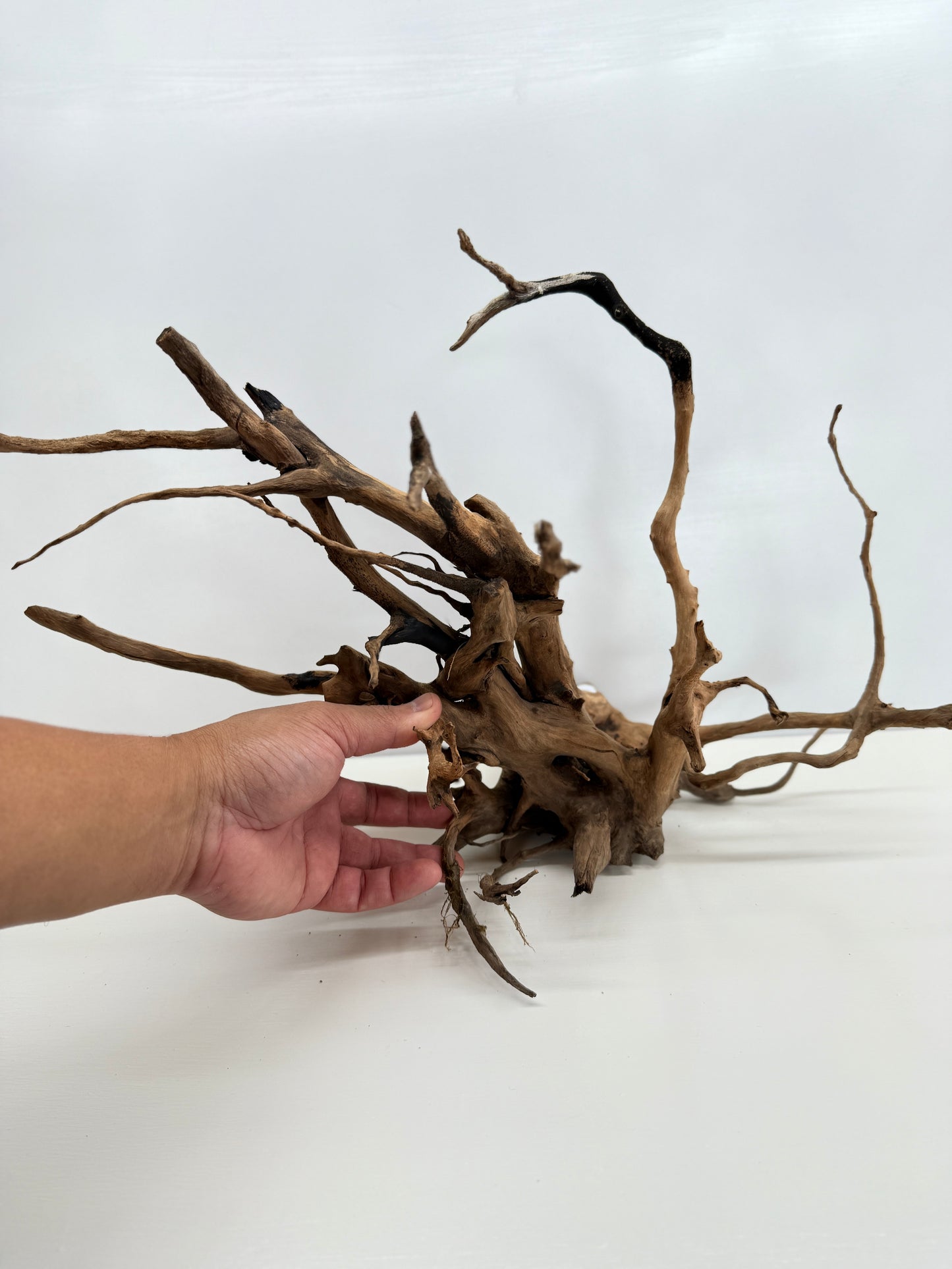Terrarium Driftwood Accessory Z79