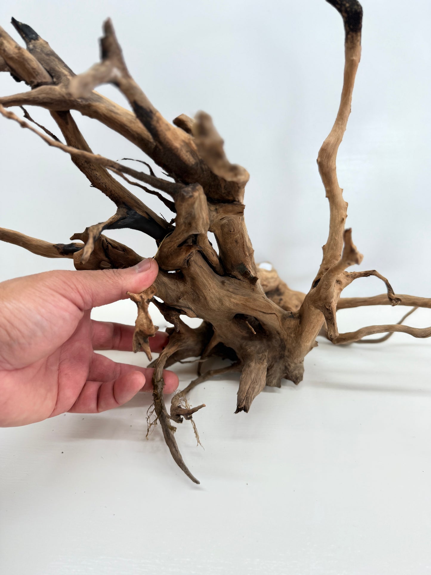 Terrarium Driftwood Accessory Z79