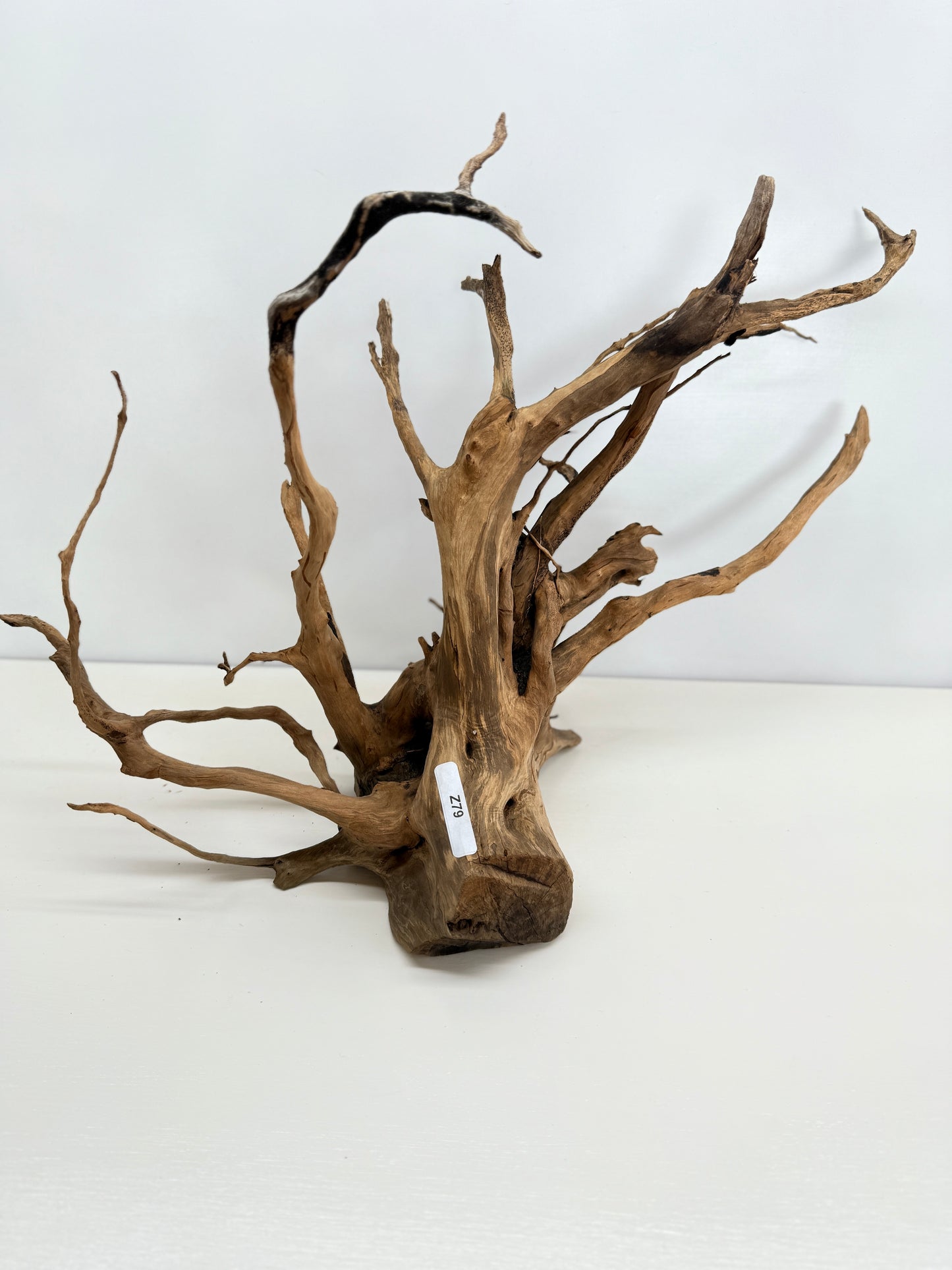 Terrarium Driftwood Accessory Z79