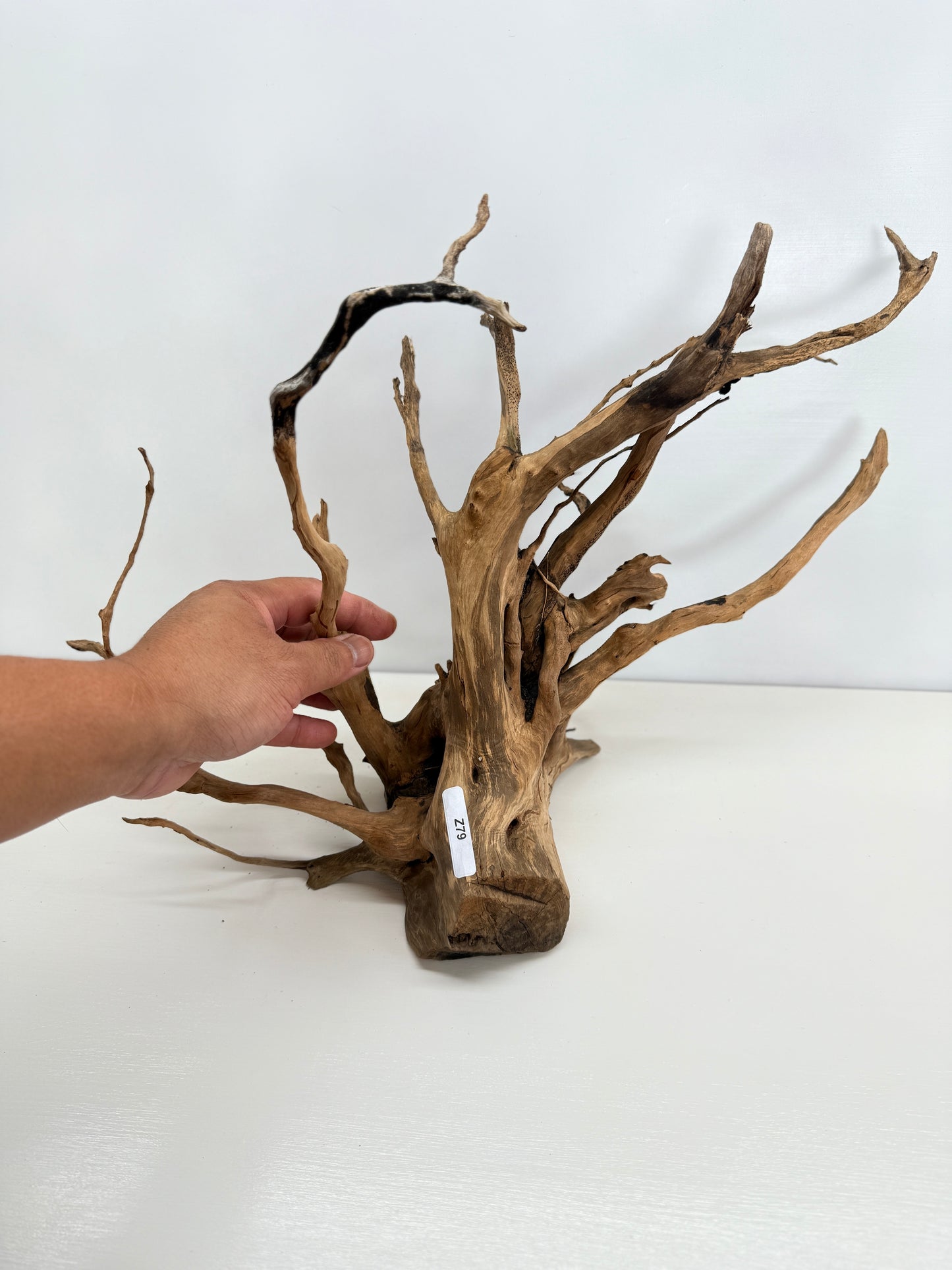 Terrarium Driftwood Accessory Z79