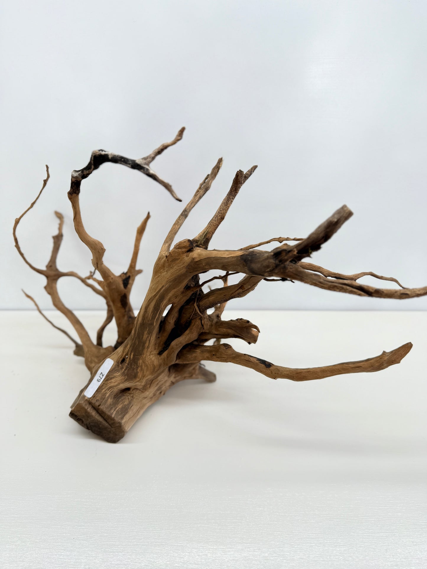 Terrarium Driftwood Accessory Z79