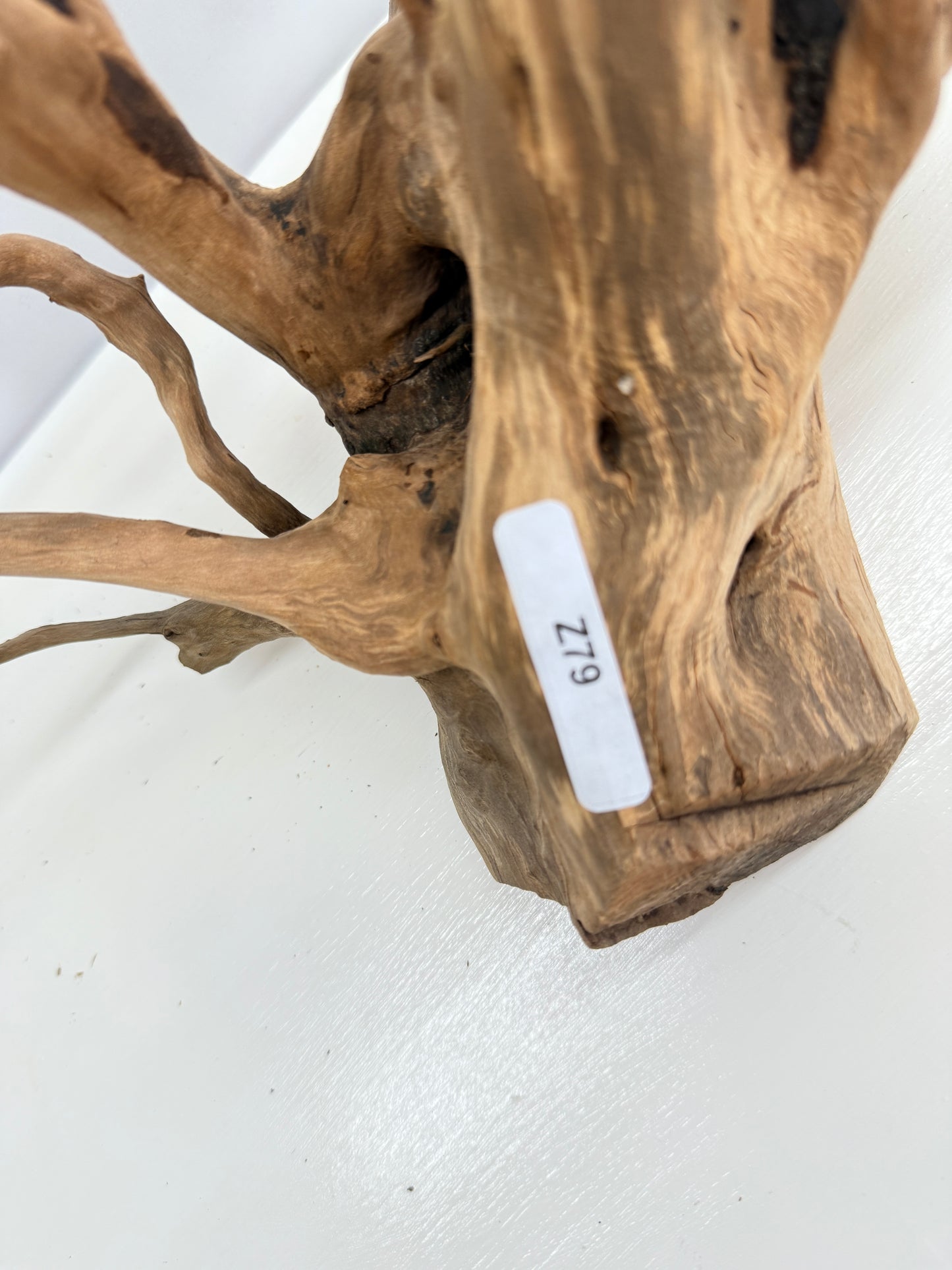 Terrarium Driftwood Accessory Z79