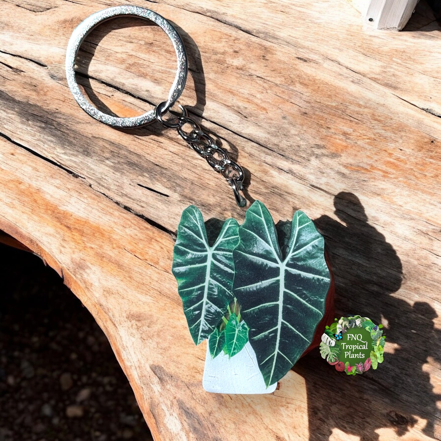 Alocasia zabrina Sarian Acrylic Key Ring