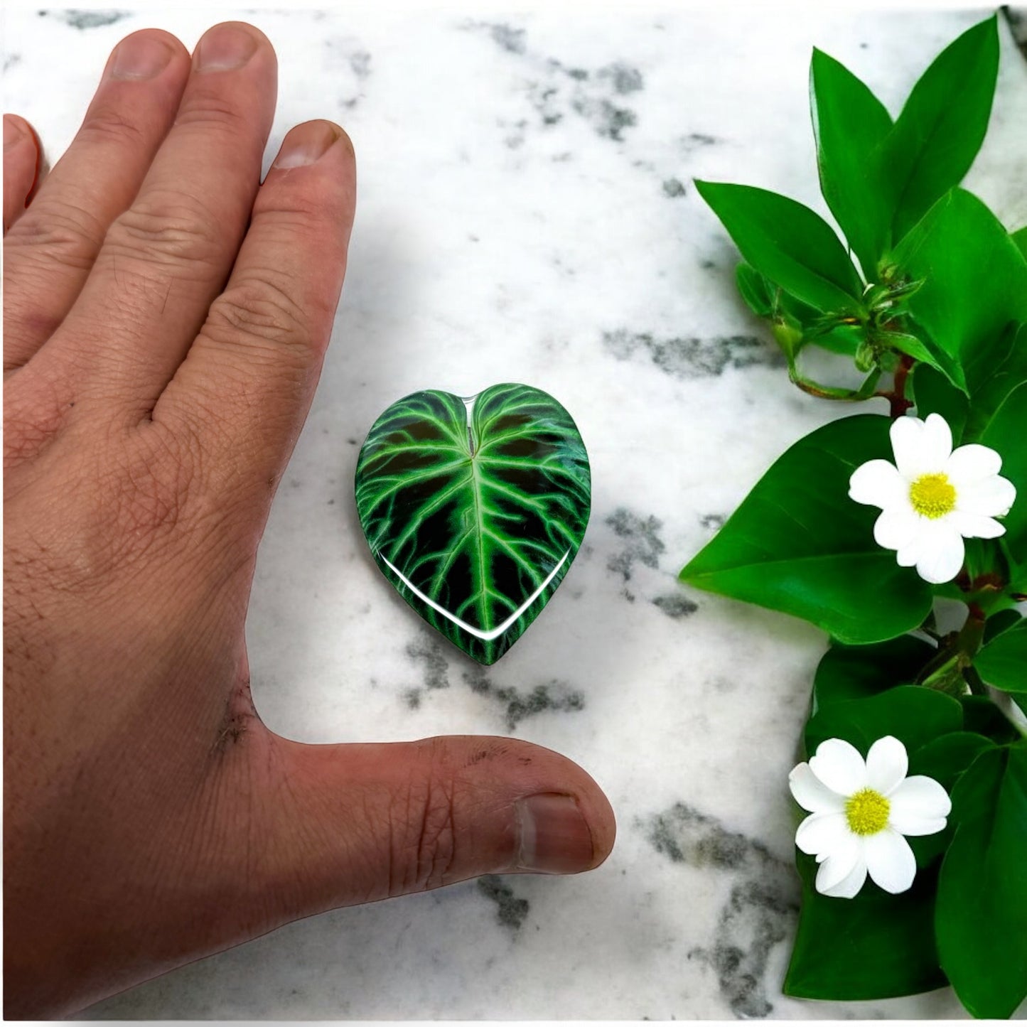 Philodendron Verrucosum Fridge Magnet