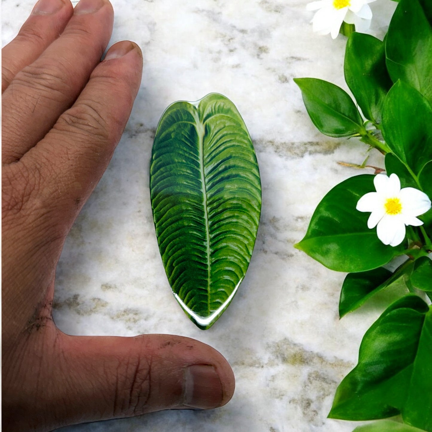 Anthurium Veitchii Acrylic Fridge Magnet