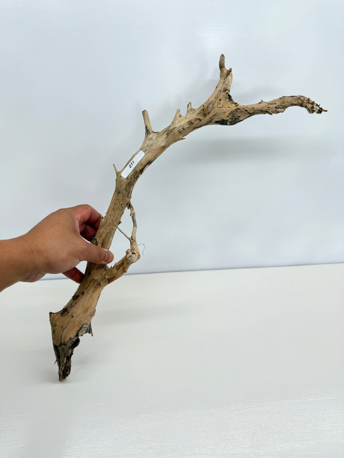 Terrarium Driftwood Accessory Z77