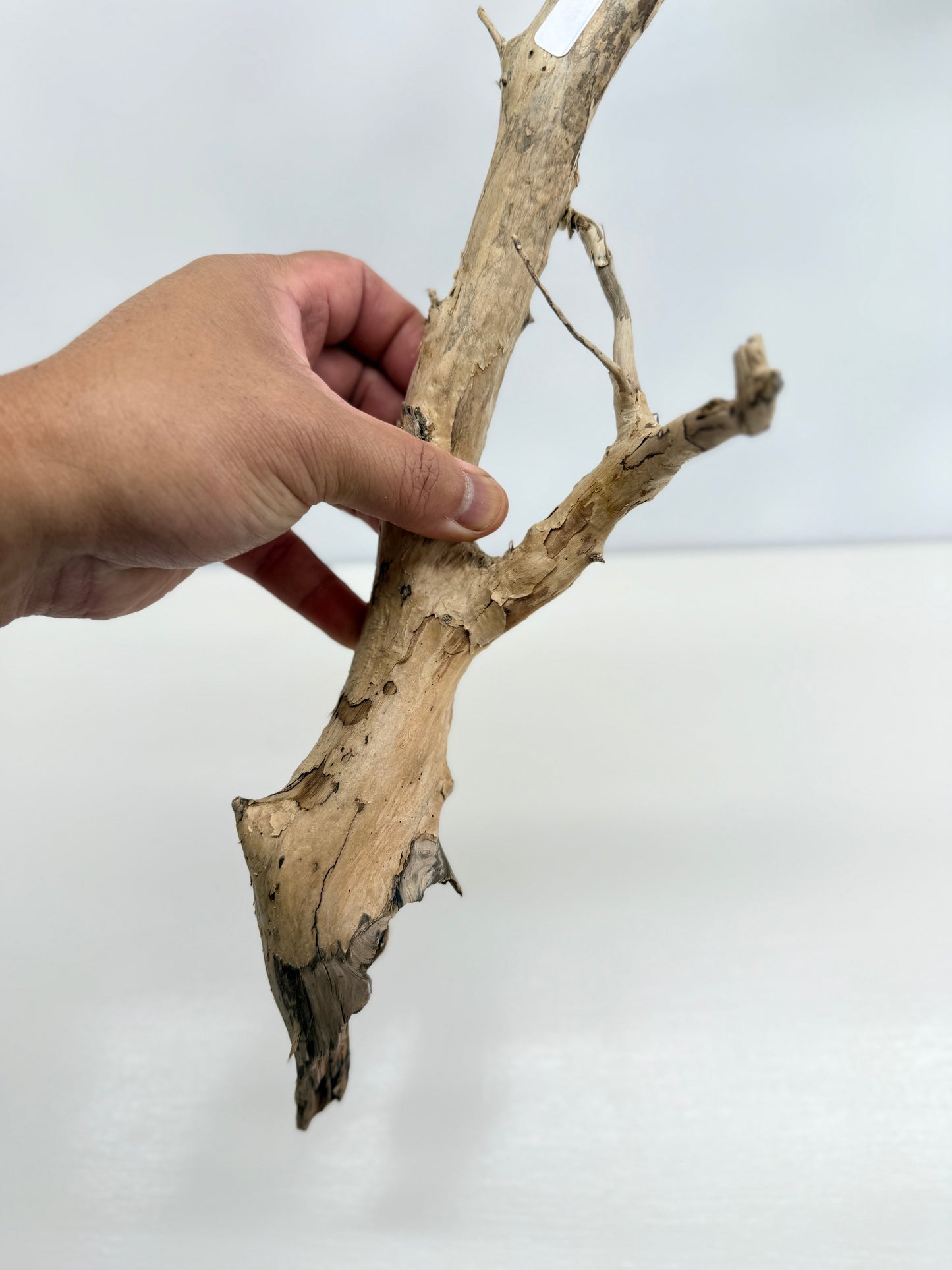 Terrarium Driftwood Accessory Z77