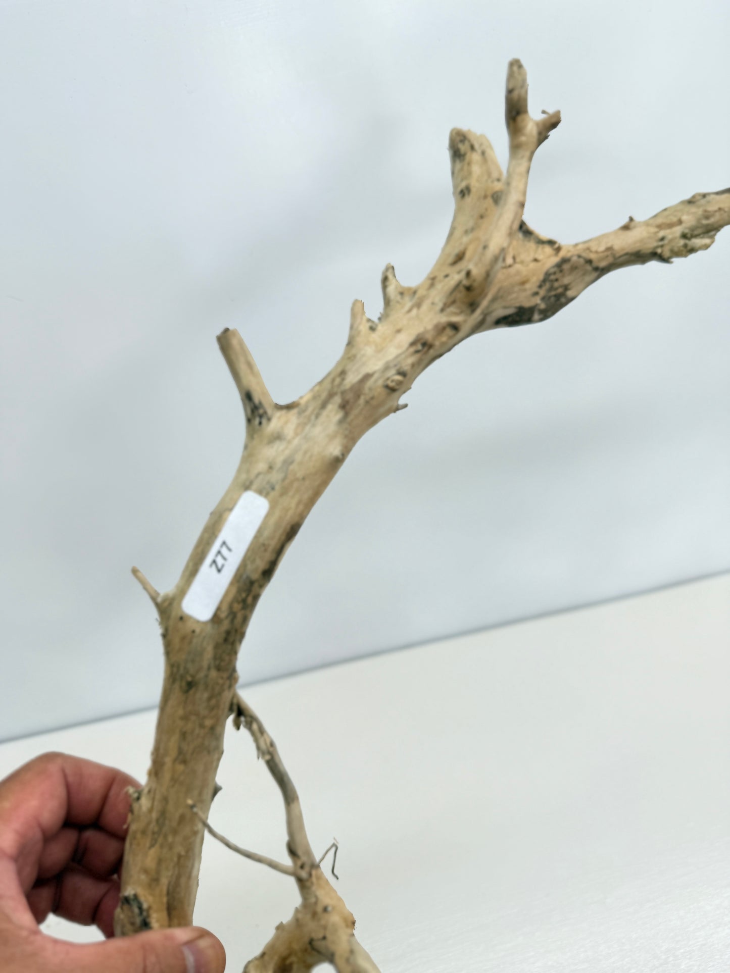 Terrarium Driftwood Accessory Z77