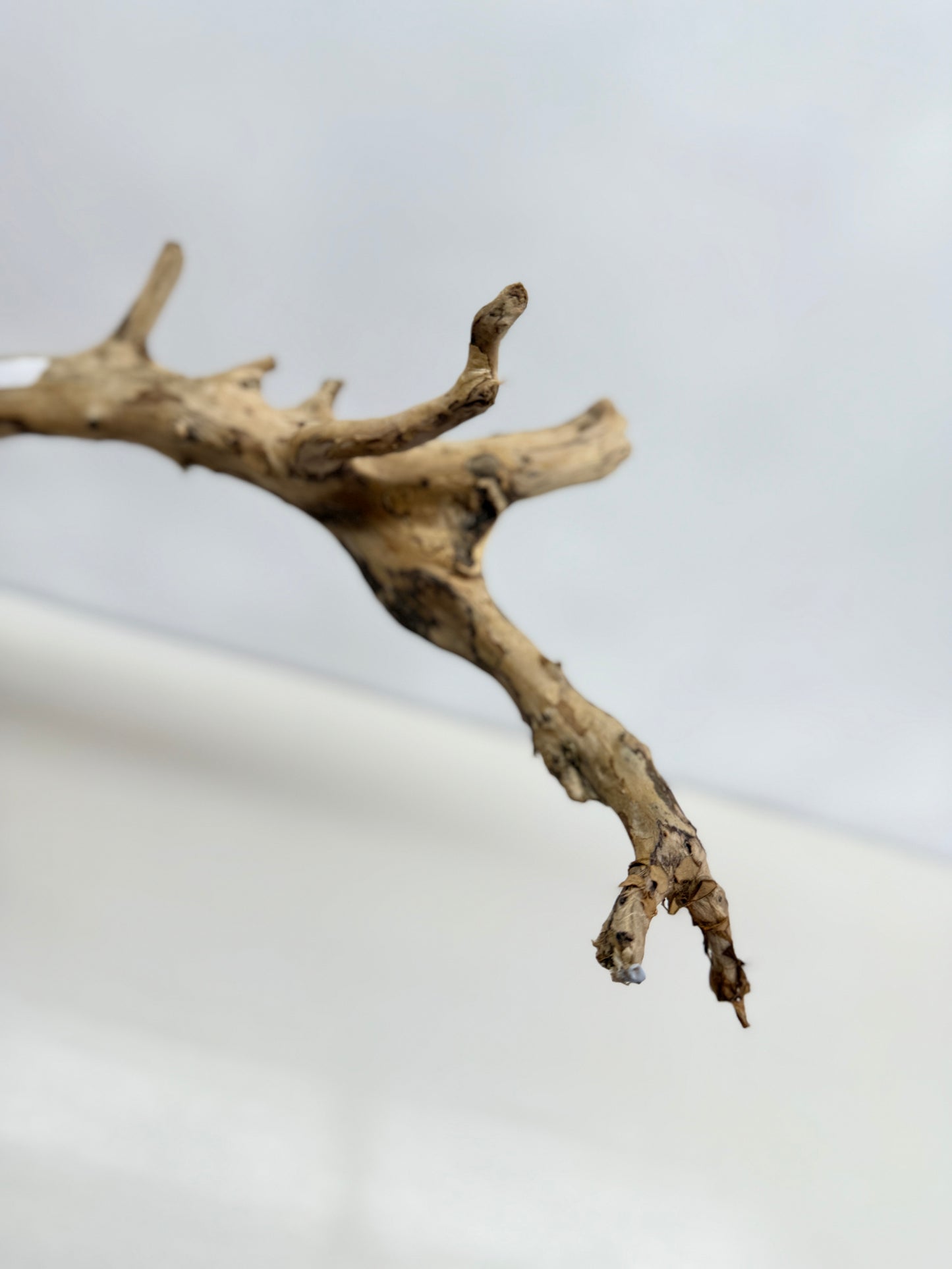 Terrarium Driftwood Accessory Z77