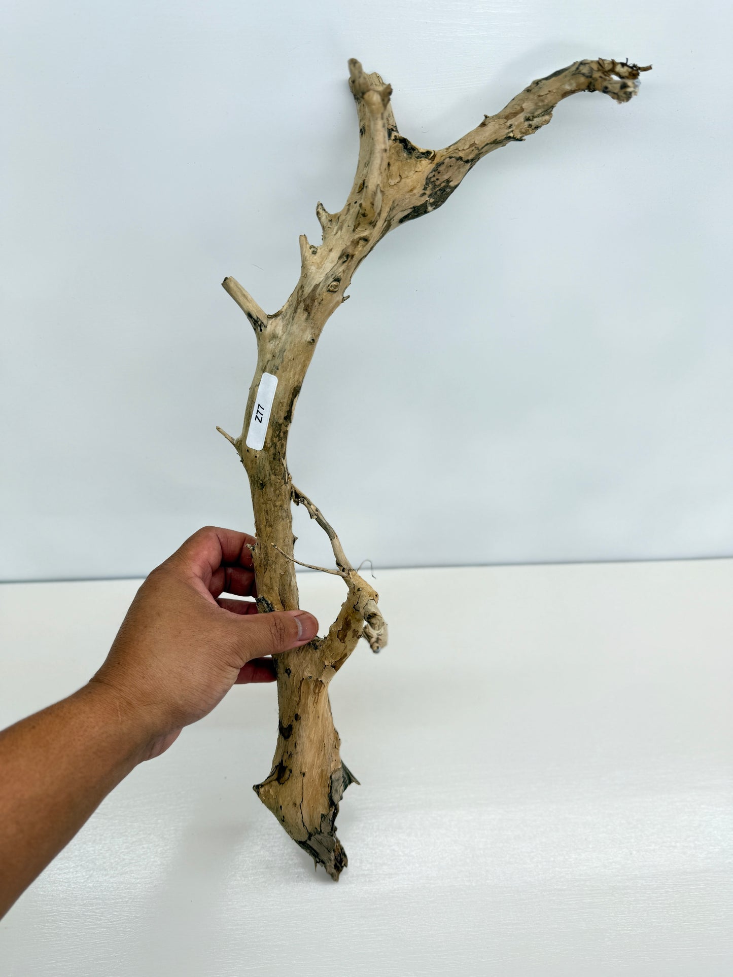 Terrarium Driftwood Accessory Z77