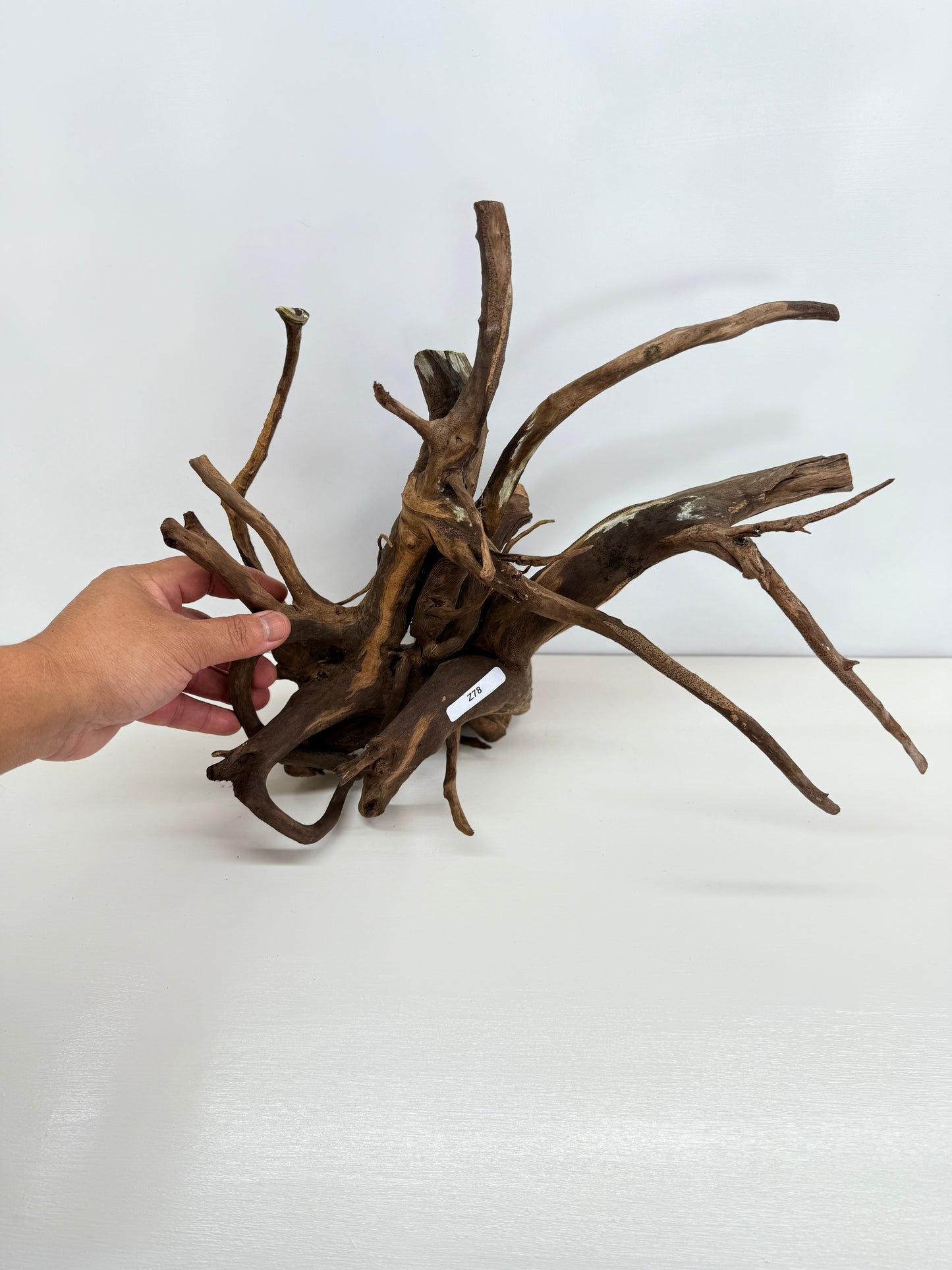 Terrarium Driftwood Accessory Z78