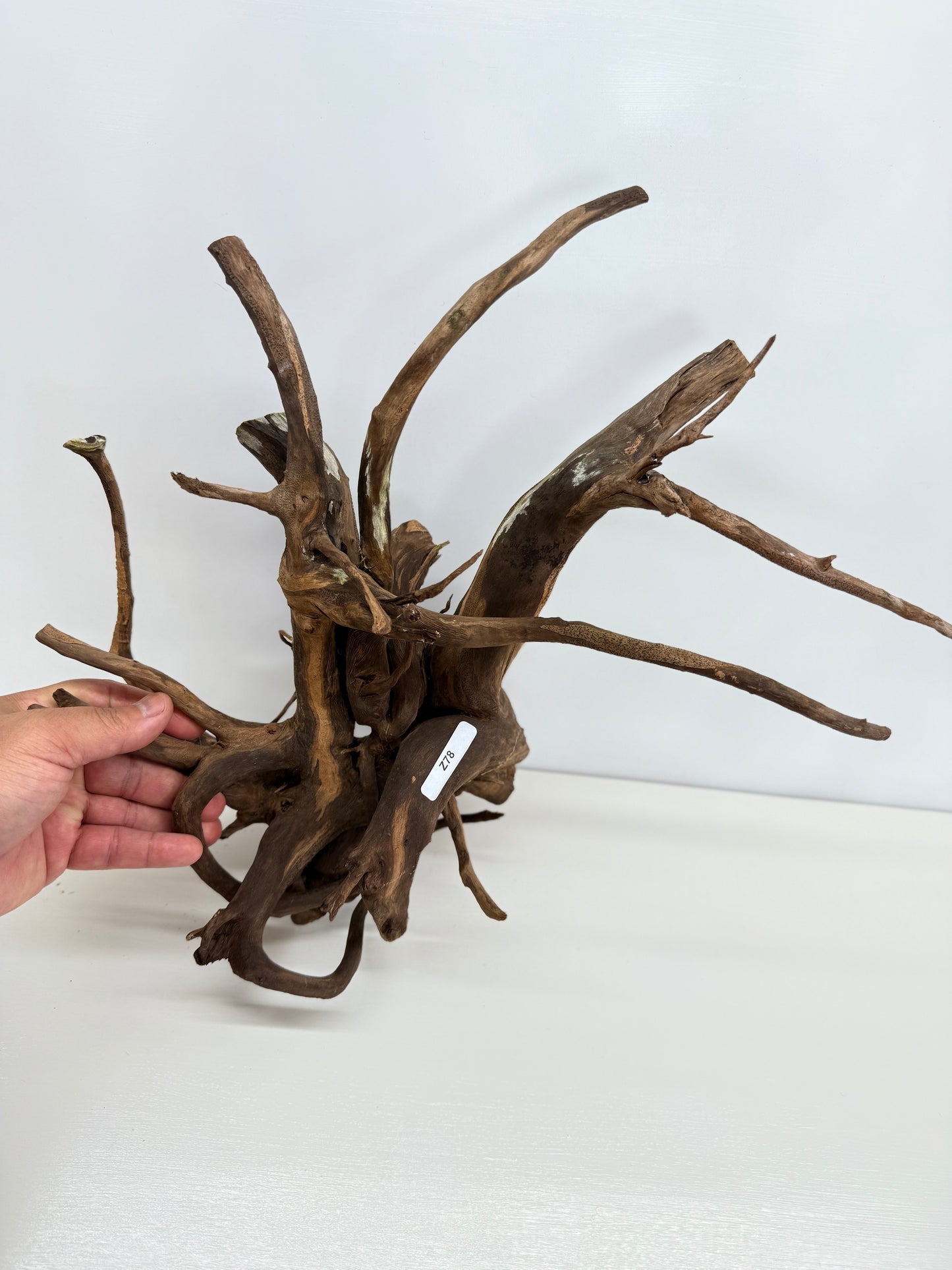 Terrarium Driftwood Accessory Z78