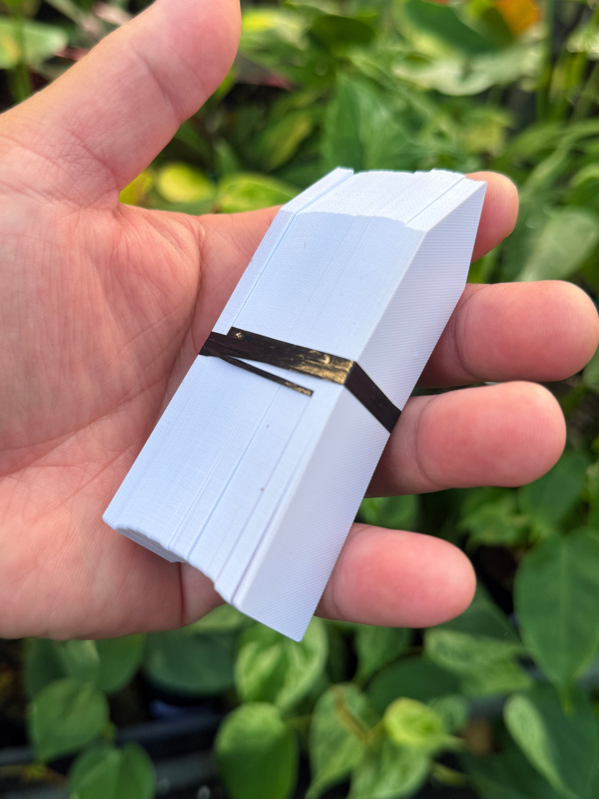 Pack of 100 Plant Tags