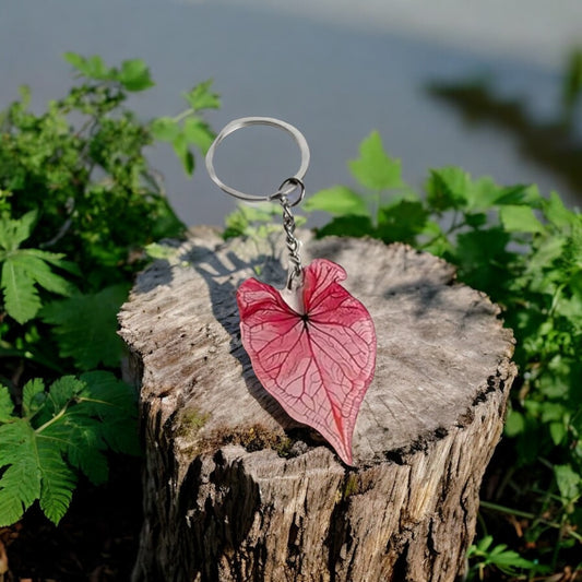 Caladium Pink Bicolour Acrylic Key Ring