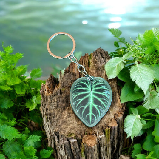 Philodendron Verrucosum Acrylic Key Ring