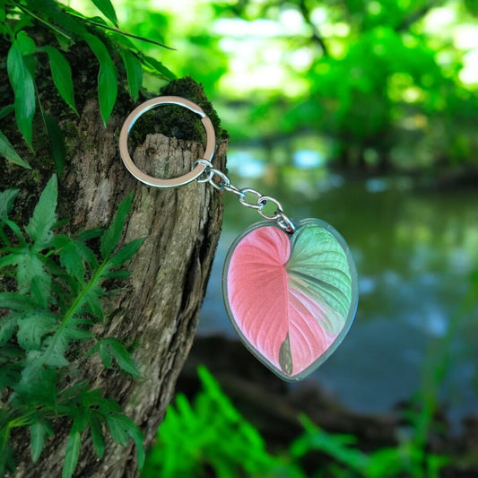 Homalomena Rubescens Acrylic Key Ring