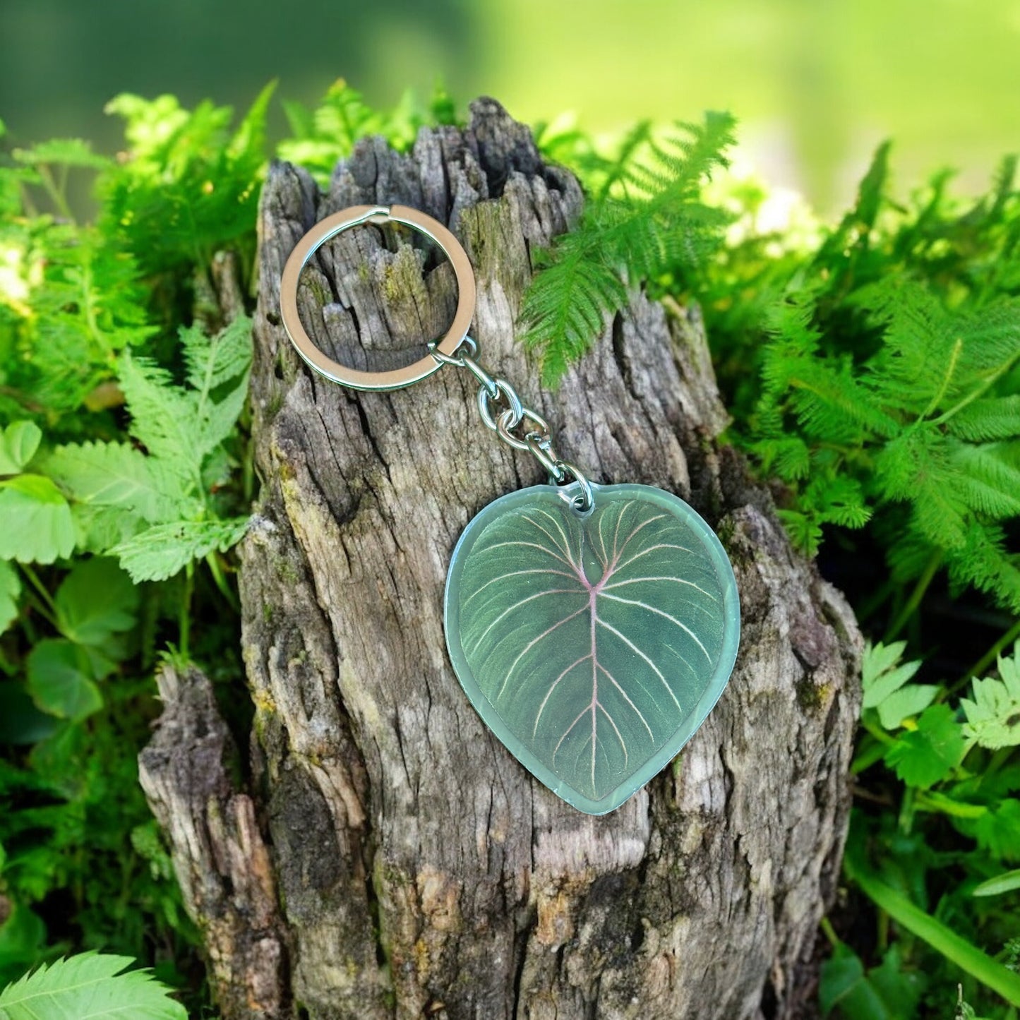 Philodendron Gloriosum Acrylic Key Ring