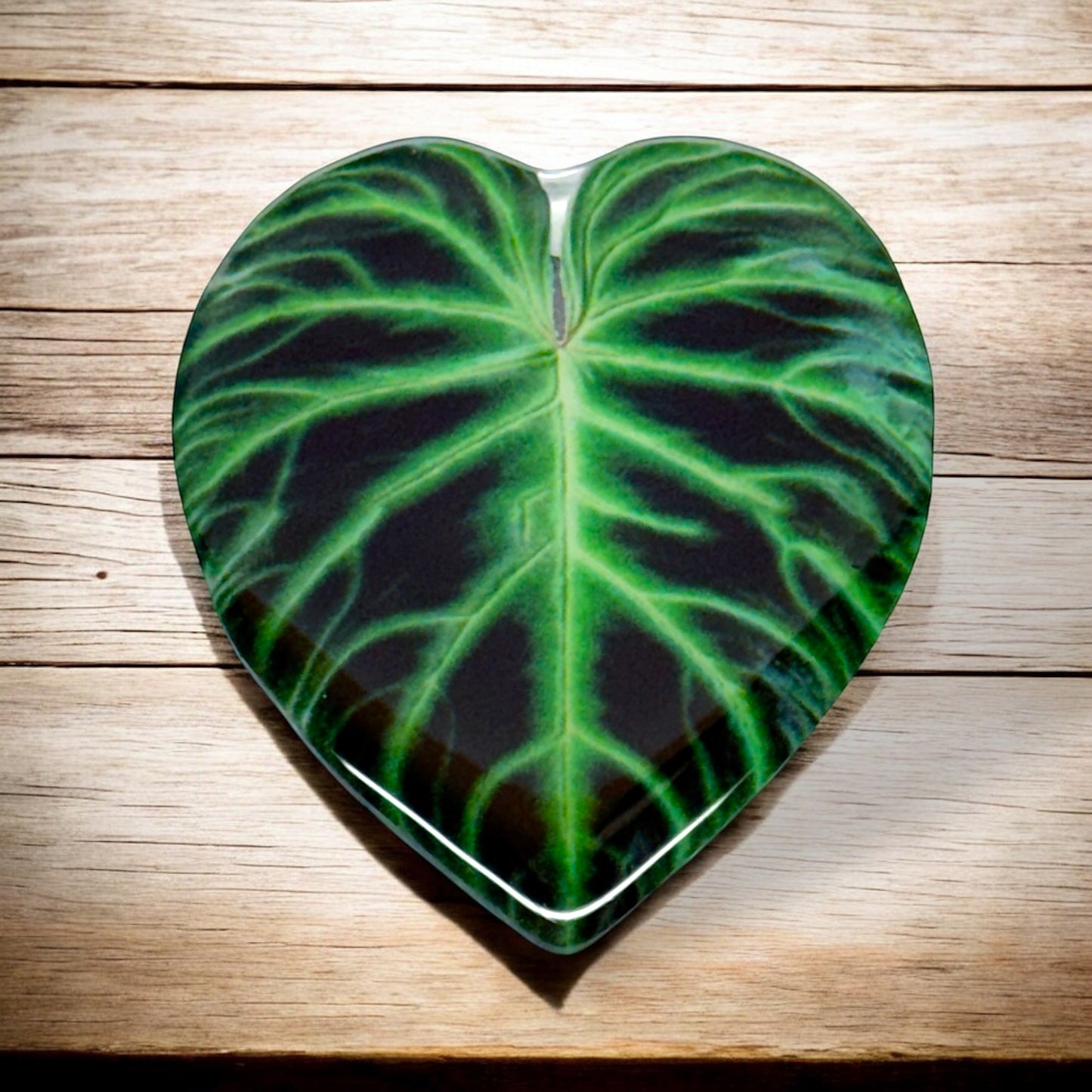 Philodendron Verrucosum Fridge Magnet